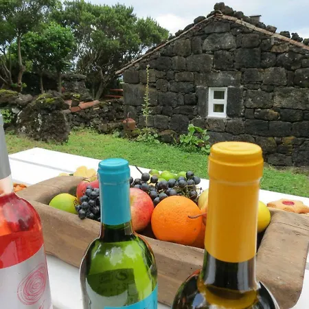 Casa Adega Alto Do Passinho * Terra Alta