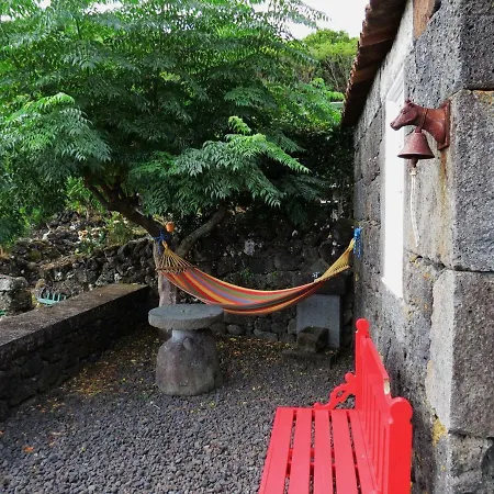 Alojamento de Turismo Rural Casa Adega Alto Do Passinho *