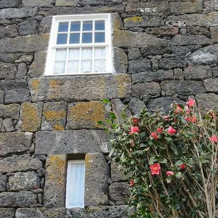 Casa Adega Alto Do Passinho Alojamento de Turismo Rural Terra Alta