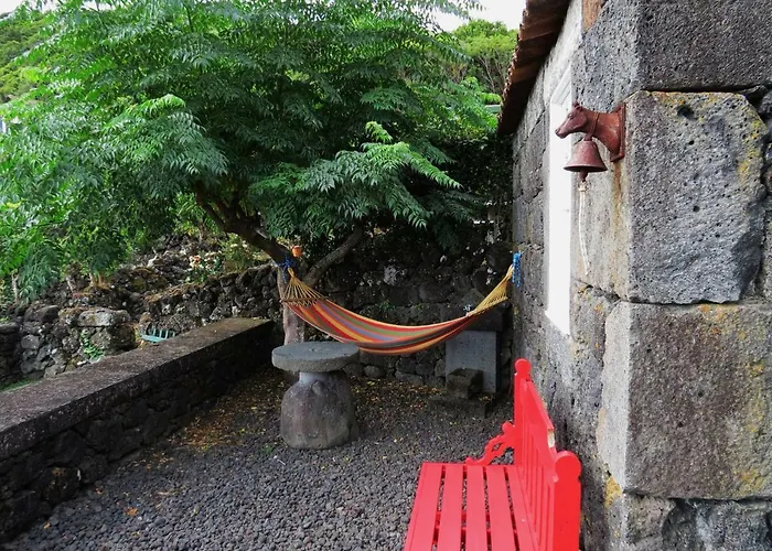 Gospodarstwo agroturystyczne Casa Adega Alto Do Passinho *