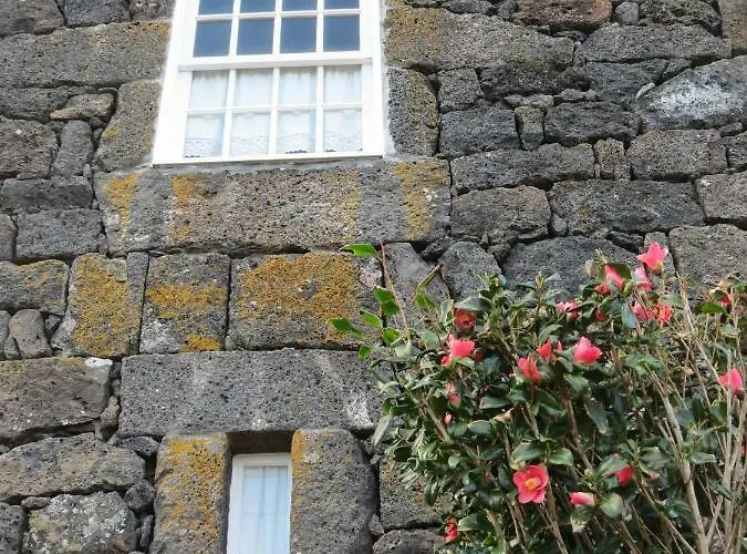 Casa Adega Alto Do Passinho Gospodarstwo agroturystyczne Terra Alta